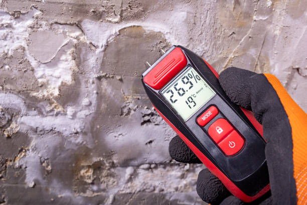Best Mold Cleaning Services  in Palm Valley, TX
